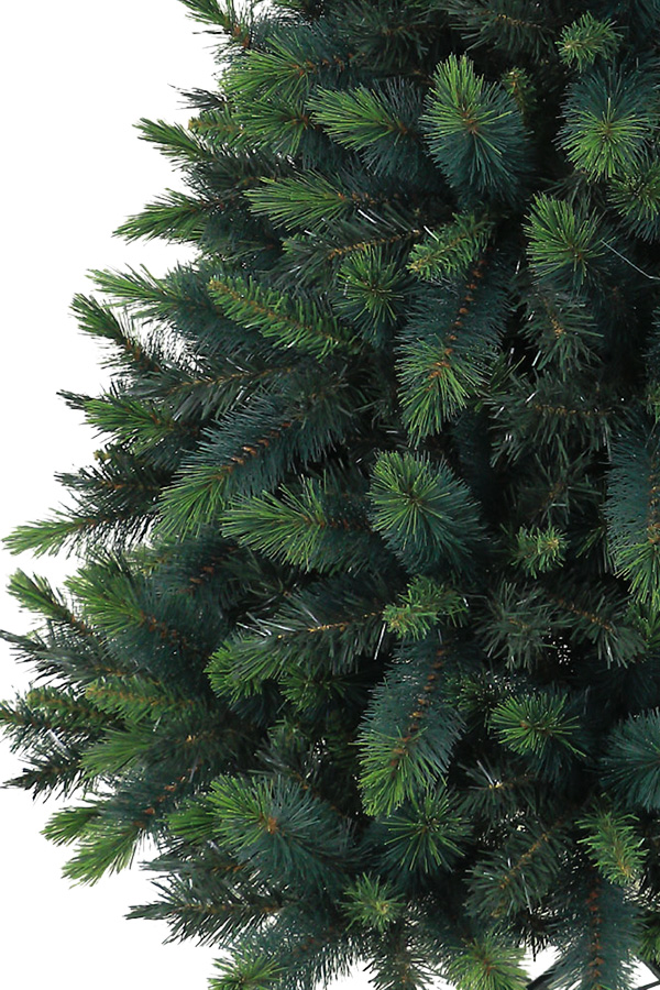 150cm���b�L�[�}�E���e���c���[